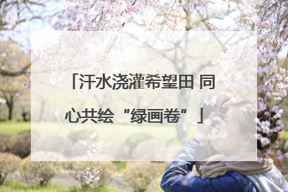 汗水浇灌希望田 同心共绘“绿画卷”