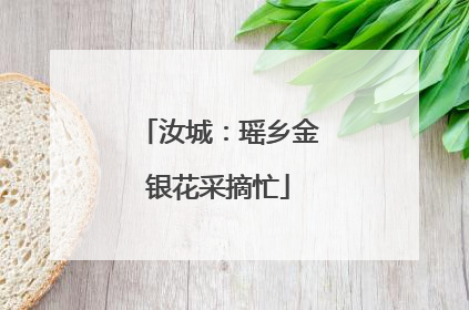 汝城：瑶乡金银花采摘忙