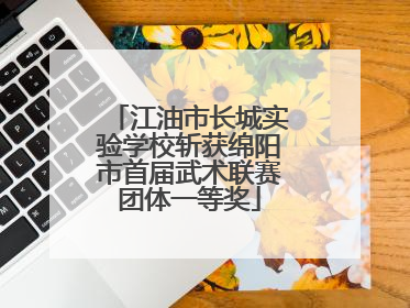 江油市长城实验学校斩获绵阳市首届武术联赛团体一等奖