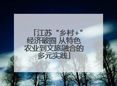江苏“乡村+”经济破圈 从特色农业到文旅融合的多元实践