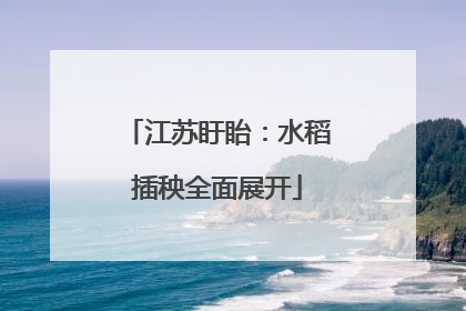江苏盱眙：水稻插秧全面展开