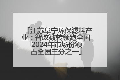 江苏阜宁环保滤料产业：智改数转领跑全国 2024年市场份额占全国三分之一