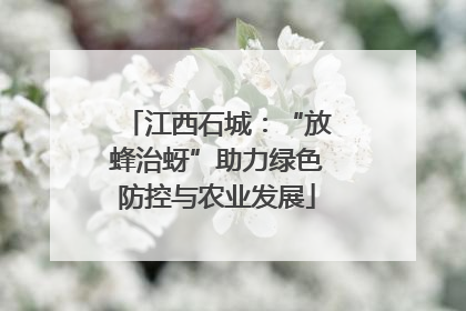 江西石城：“放蜂治蚜”助力绿色防控与农业发展