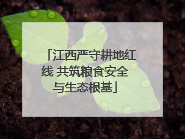 江西严守耕地红线 共筑粮食安全与生态根基