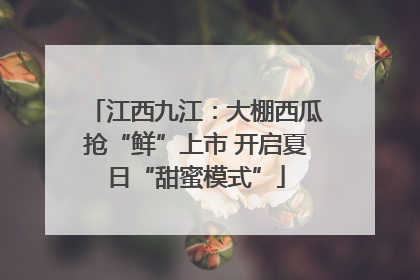 江西九江：大棚西瓜抢“鲜”上市 开启夏日“甜蜜模式”