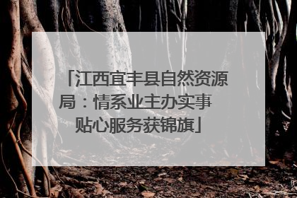江西宜丰县自然资源局：情系业主办实事 贴心服务获锦旗