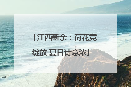 江西新余：荷花竞绽放 夏日诗意浓