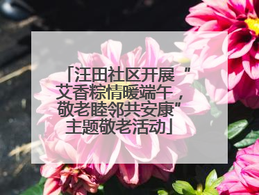 汪田社区开展“艾香粽情暖端午，敬老睦邻共安康”主题敬老活动