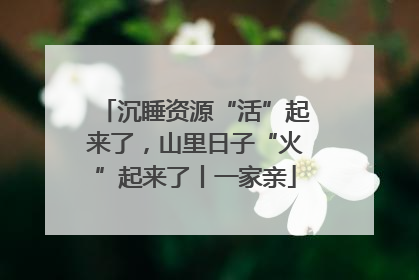 沉睡资源“活”起来了，山里日子“火”起来了丨一家亲