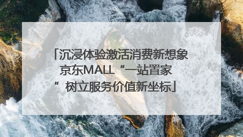 沉浸体验激活消费新想象 京东MALL“一站置家”树立服务价值新坐标