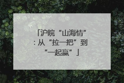 沪皖“山海情”：从“拉一把”到“一起赢”