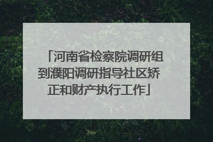 河南省检察院调研组到濮阳调研指导社区矫正和财产执行工作