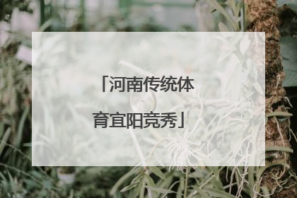 河南传统体育宜阳竞秀