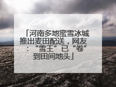 河南多地蜜雪冰城推出麦田配送，网友：“雪王”已“卷”到田间地头