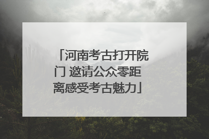 河南考古打开院门 邀请公众零距离感受考古魅力
