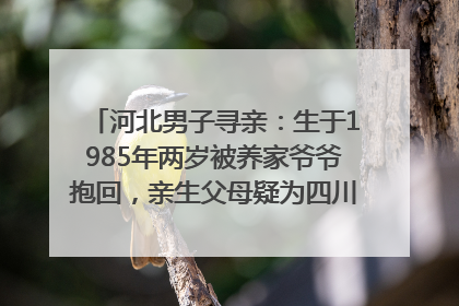 河北男子寻亲：生于1985年两岁被养家爷爷抱回，亲生父母疑为四川仪陇人｜红星寻人