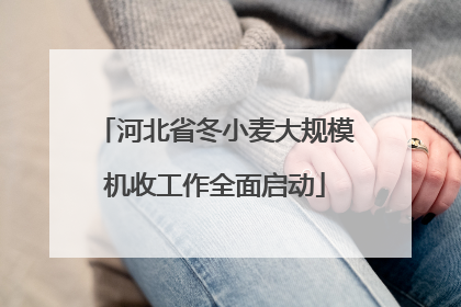 河北省冬小麦大规模机收工作全面启动