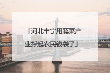 河北丰宁用蔬菜产业撑起农民钱袋子