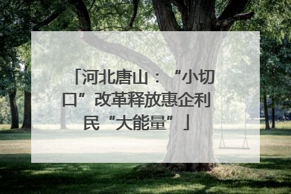 河北唐山：“小切口”改革释放惠企利民“大能量”