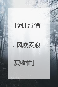 河北宁晋：风吹麦浪夏收忙