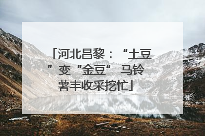 河北昌黎：“土豆”变“金豆” 马铃薯丰收采挖忙