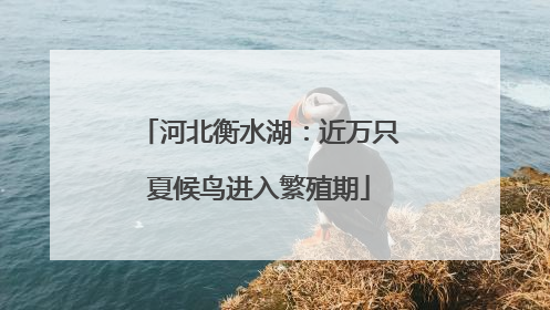 河北衡水湖：近万只夏候鸟进入繁殖期
