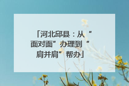 河北邱县：从“面对面”办理到“肩并肩”帮办