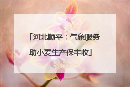 河北顺平：气象服务助小麦生产保丰收