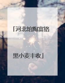 河北馆陶富铬黑小麦丰收