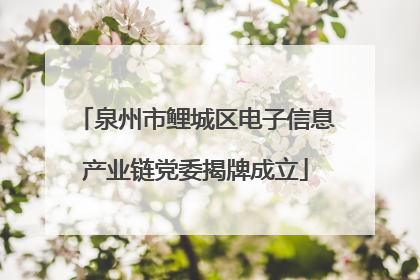 泉州市鲤城区电子信息产业链党委揭牌成立
