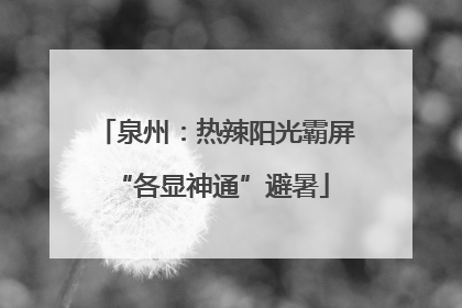 泉州：热辣阳光霸屏 “各显神通”避暑