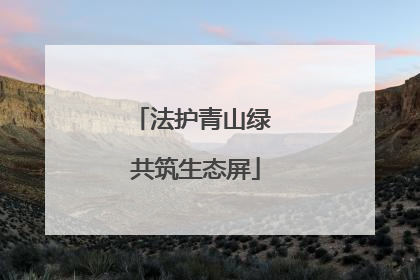 法护青山绿 共筑生态屏