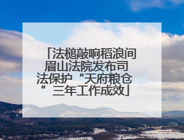 法槌敲响稻浪间 眉山法院发布司法保护“天府粮仓”三年工作成效