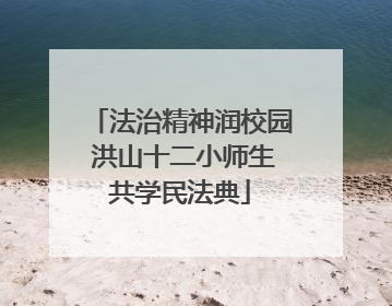 法治精神润校园 洪山十二小师生共学民法典