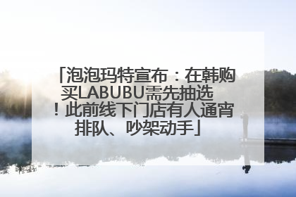 泡泡玛特宣布：在韩购买LABUBU需先抽选！此前线下门店有人通宵排队、吵架动手
