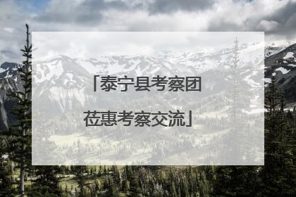 泰宁县考察团莅惠考察交流