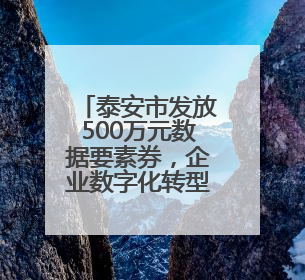 泰安市发放500万元数据要素券，企业数字化转型最高享5万元补贴