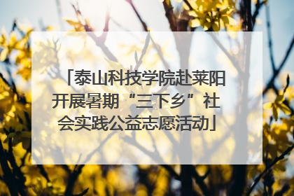 泰山科技学院赴莱阳开展暑期“三下乡”社会实践公益志愿活动