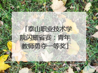 泰山职业技术学院闪耀省赛：青年教师勇夺一等奖