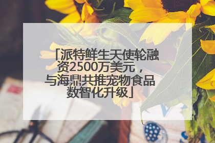 派特鲜生天使轮融资2500万美元，与海鼎共推宠物食品数智化升级