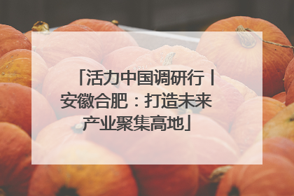 活力中国调研行丨安徽合肥：打造未来产业聚集高地