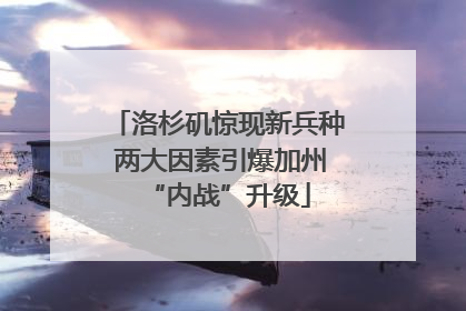 洛杉矶惊现新兵种 两大因素引爆加州“内战”升级