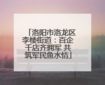 洛阳市洛龙区李楼街道：百企千店齐拥军 共筑军民鱼水情