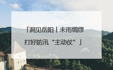 洞见岳阳丨未雨绸缪 打好防汛“主动仗”