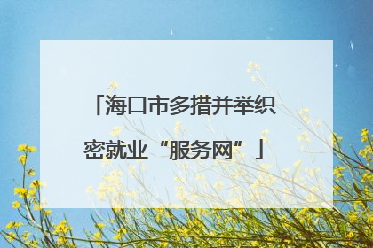 海口市多措并举织密就业“服务网”