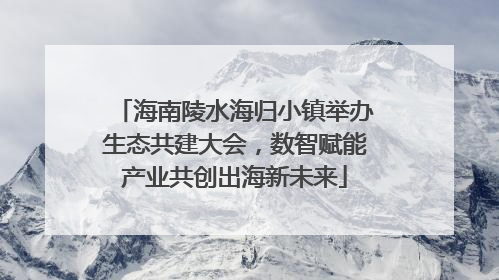 海南陵水海归小镇举办生态共建大会，数智赋能产业共创出海新未来