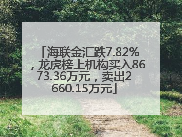海联金汇跌7.82%，龙虎榜上机构买入8673.36万元，卖出2660.15万元