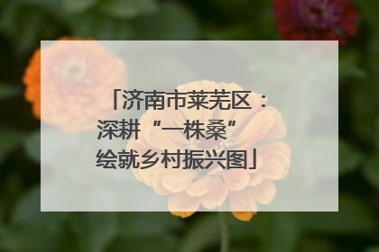 济南市莱芜区：深耕“一株桑” 绘就乡村振兴图