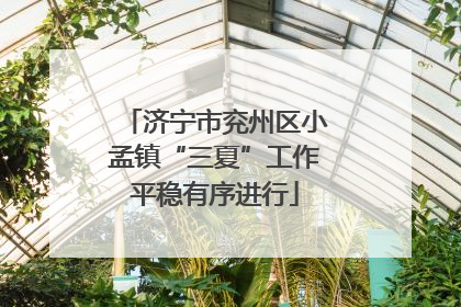济宁市兖州区小孟镇“三夏”工作平稳有序进行