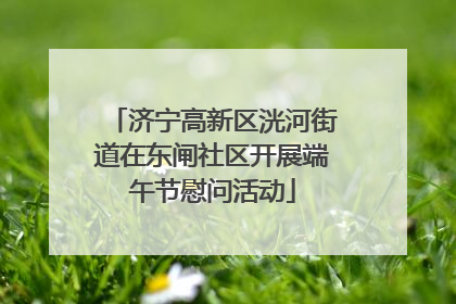 济宁高新区洸河街道在东闸社区开展端午节慰问活动